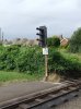 DSCF9952.JPG
