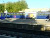 DSC00335.JPG