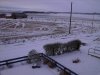View From My Bedroom.jpg