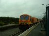 Dscf0016a.jpg