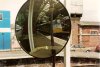 The round Window.jpg