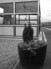 DSC00358.jpg