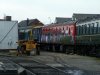 DSCF5240.jpg