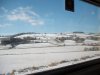 Picture 005.jpg