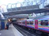 DSC00059.jpg