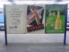 DSC00403.jpg