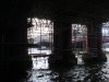 DSC00413.jpg