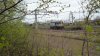 P1000682.JPG