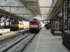 DSC00038.jpg