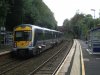 DSCF4115.jpg