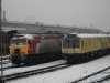 DSC08250.jpg