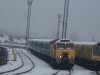 DSC08260.jpg