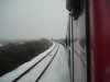 DSC08388.jpg
