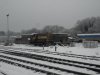 DSC08269.jpg