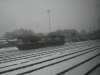 DSC08274.jpg
