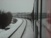 DSC08390.jpg