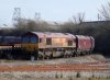 DSC09255.jpg