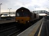 DSC09311.jpg
