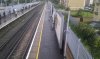 AbbeyWood.jpg