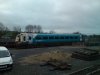 DSC01723.jpg
