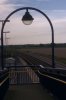 IMAG0224.jpg