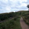 20190729_163445.jpg