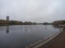 20211110_083726.jpg