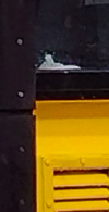 1647635050729.png