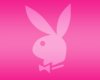 rsz_pink-wallpaper-pink-color-10579400-1280-1024.jpg