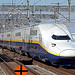 503004639_e1b190490e_s.jpg