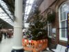 P08-12-12_11.55.jpg