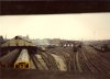 scan0003.jpg