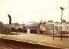 scan0009.jpg