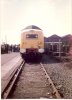 scan0019.jpg