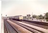 scan0016.jpg