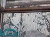 DSCN0225.jpg