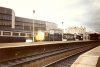 Piccies0002.jpg