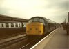 Piccies0006.jpg