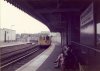 Piccies0008.jpg