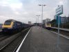 DSCF0439.JPG