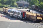 IMG_7862.JPG