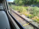 IMG_20220521_165455702.jpg