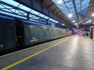DSC00078.jpg
