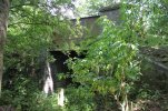 Cattle creep.JPG
