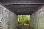 Cattle creep 2.JPG