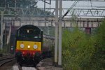DSC_3038-min.JPG