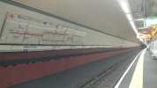 20220905_180356.jpg