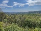 IMG_5775.jpeg