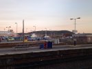 20221102_073753.jpg