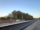20221104_073124.jpg